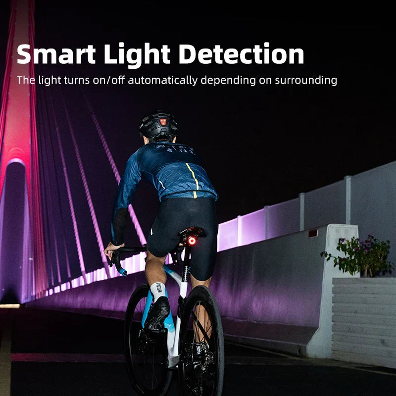 Tail Light Auto Brake Sensing Bicycle Rear Light Black