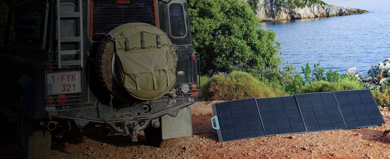 Panel solar de 100 W
