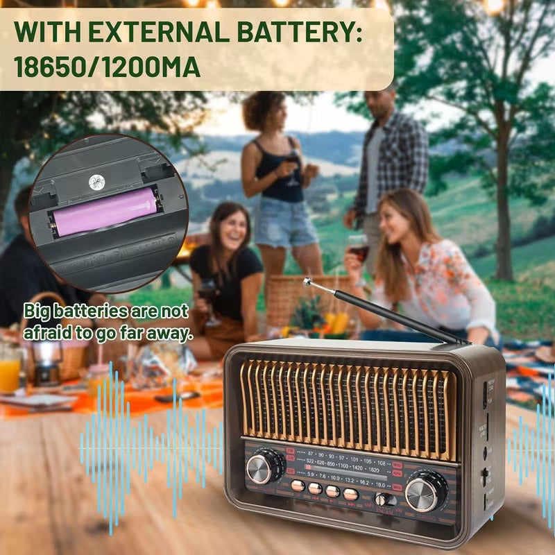 Portable AM/FM Radio with LED Flashlight & TF/USB/AUX